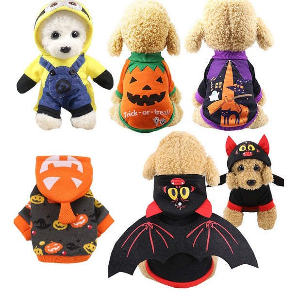 pet , apparel, catchy, Unique.