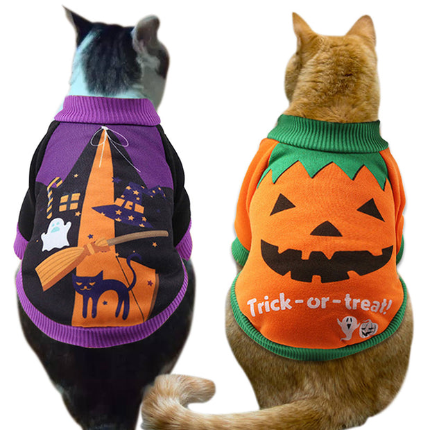 pet , apparel, catchy, Unique.
