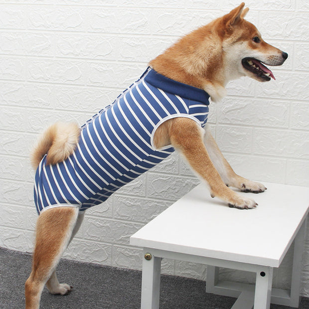 pet , apparel, catchy, Unique.