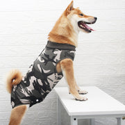 pet , apparel, catchy, Unique.