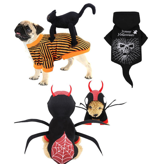 pet , apparel, catchy, Unique.