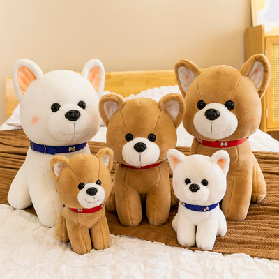 pet , apparel, catchy, Unique.