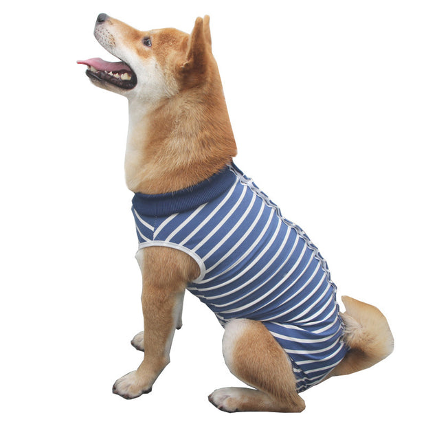 pet , apparel, catchy, Unique.